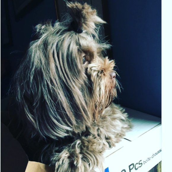 Meet your Posher, - Picture 4 of 11